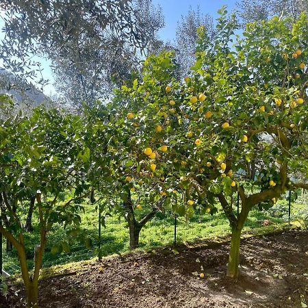 Sorrento Realty Holidays - The Smile Of The Sun Екстериор снимка